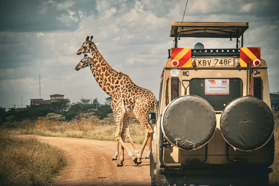 Zanzibar: Fly to Nyerere National Park – 2-Day Safari - Day one: flying from Zanzibar into game country
