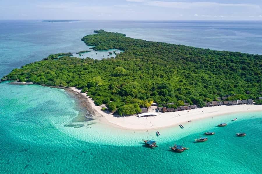 Zanzibar: Full-Day Conservation Safari with BBQ Lunch - Key Things to Know Before You Book
