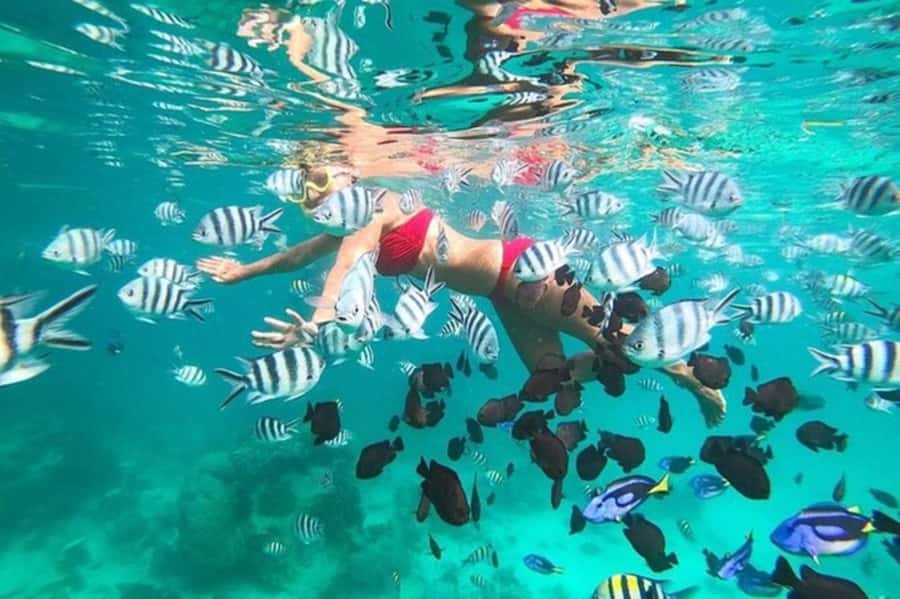 Zanzibar: Full-Day Conservation Safari with BBQ Lunch - Leaving Your Hotel for Fumba
