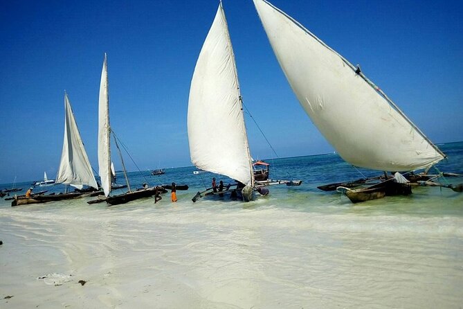 Zanzibar Full Day Mnemba Island, Nungwi and Kendwa Beach Tour - Key points before you book