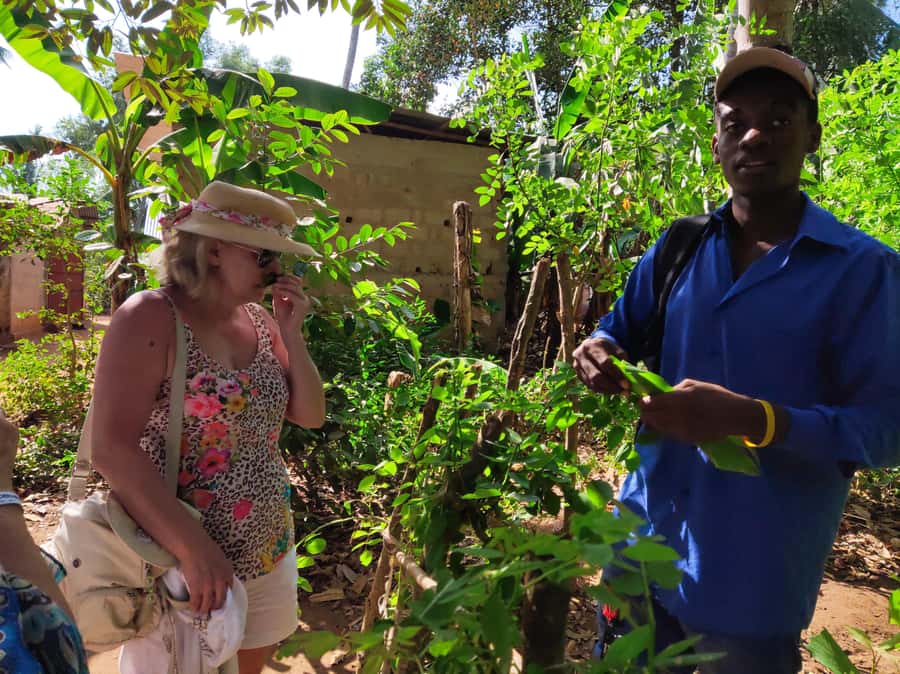 Zanzibar: Half-Day Prison Island, Tortoises and Spices Tour - Who should book this outing?