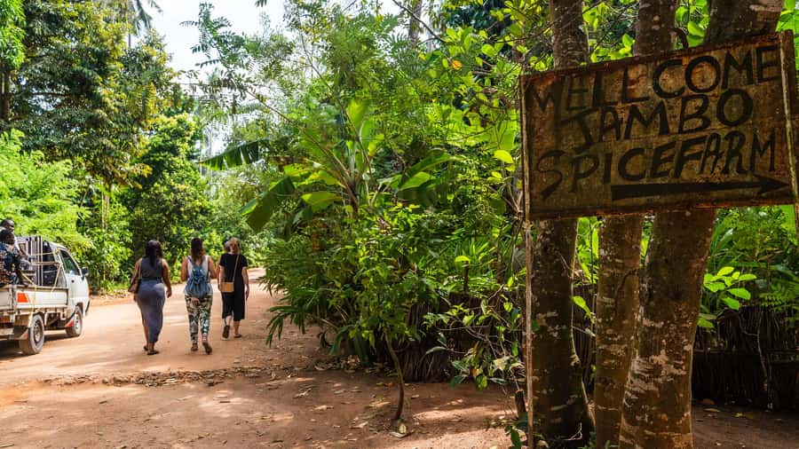 Zanzibar: Half-Day Spice Farm Tour,the flavours of Zanzibar - Walking through the private spice farm