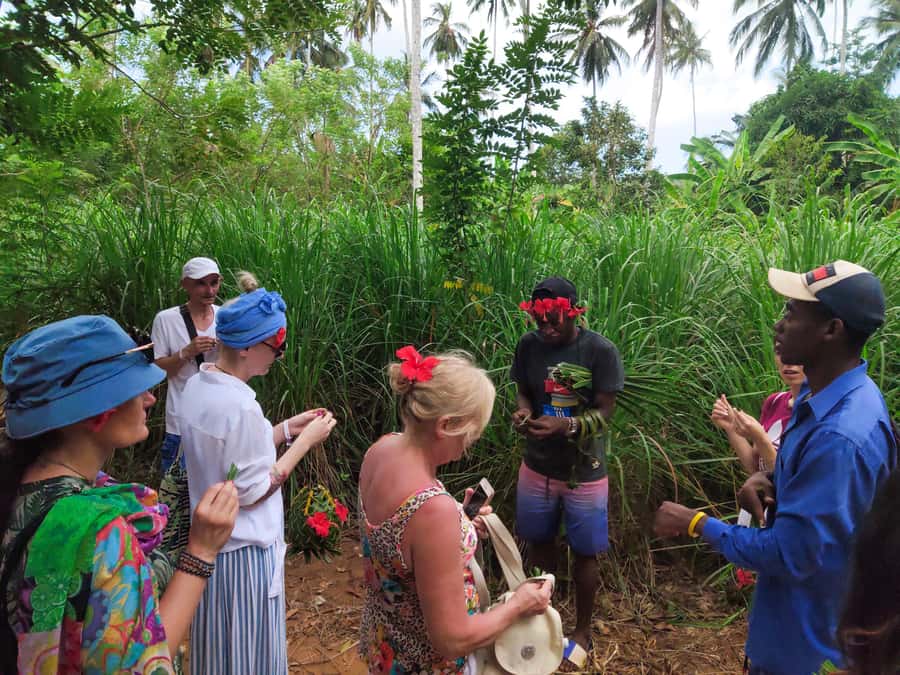 Zanzibar: Half-Day Spice Farm Tour,the flavours of Zanzibar - Who will enjoy this Zanzibar excursion