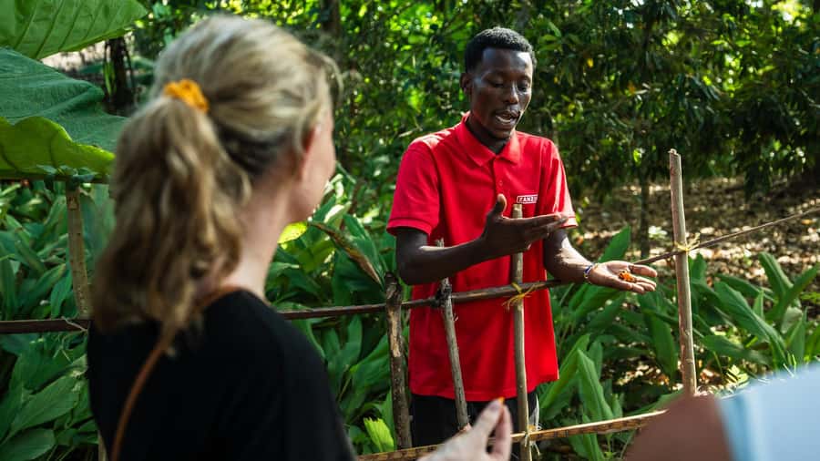 Zanzibar: Half-Day Spice Farm Tour,the flavours of Zanzibar - Getting there from your Zanzibar hotel