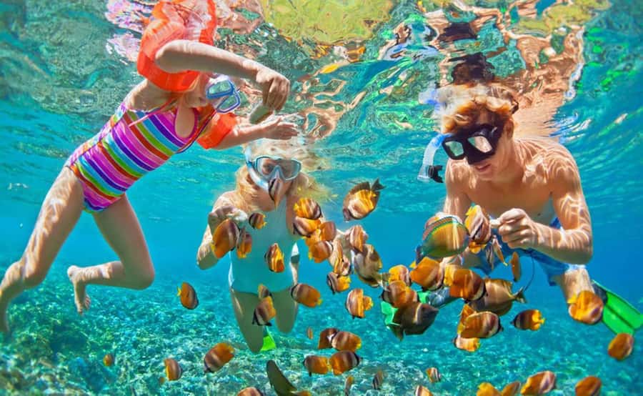 Zanzibar hidden: Starfish, Blue Lagoon, &The Rock Restaurant - Why this half-day trip works well in southeast Zanzibar