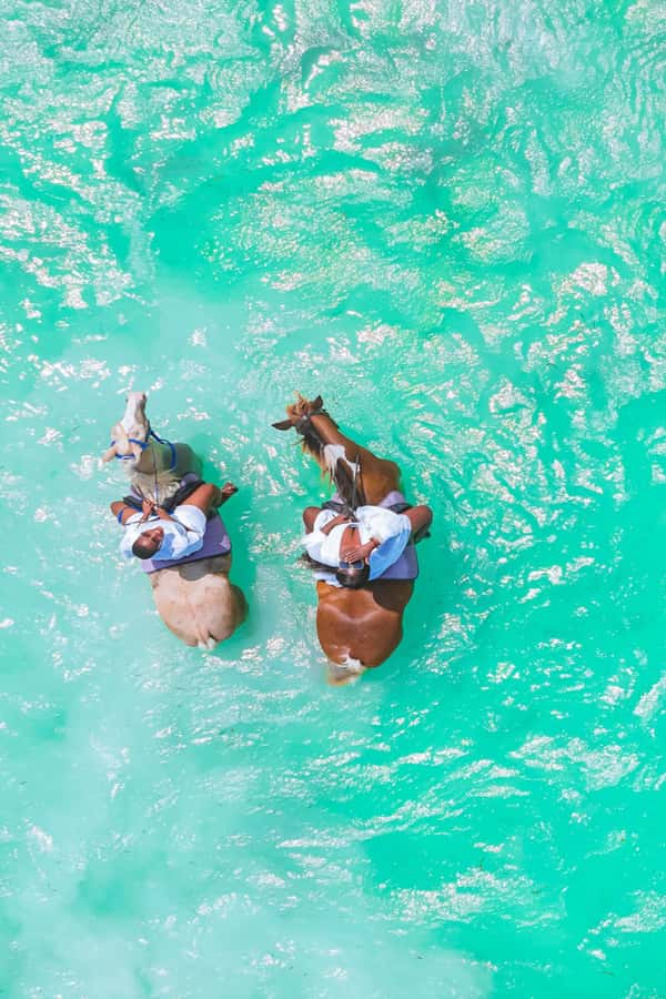 Zanzibar: Horse Riding and Kayaking with Video and Photos - Practical tips for a smoother outing