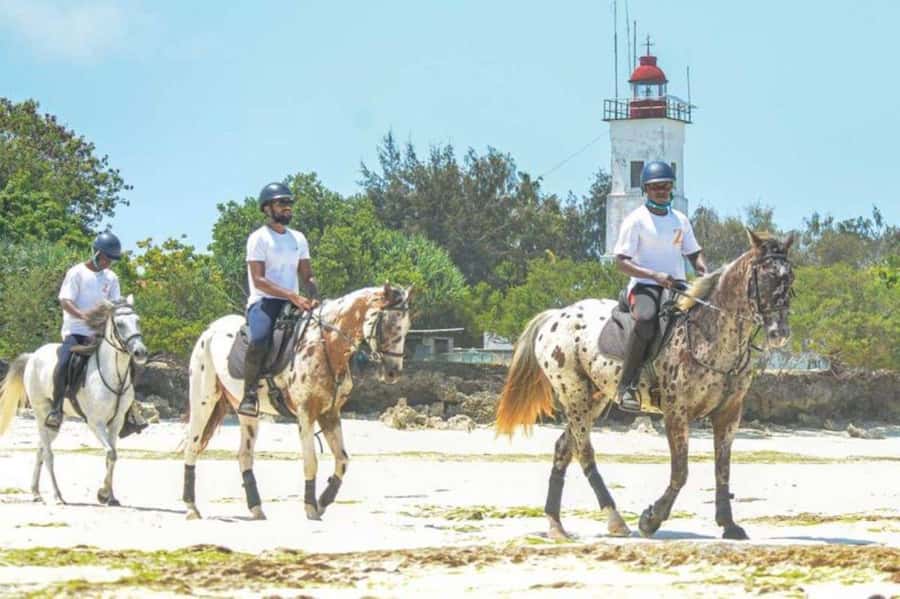Zanzibar Horseback Riding - Key points before you book