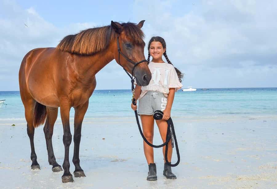 Zanzibar Horseback Riding - From your Zanzibar hotel to the stable
