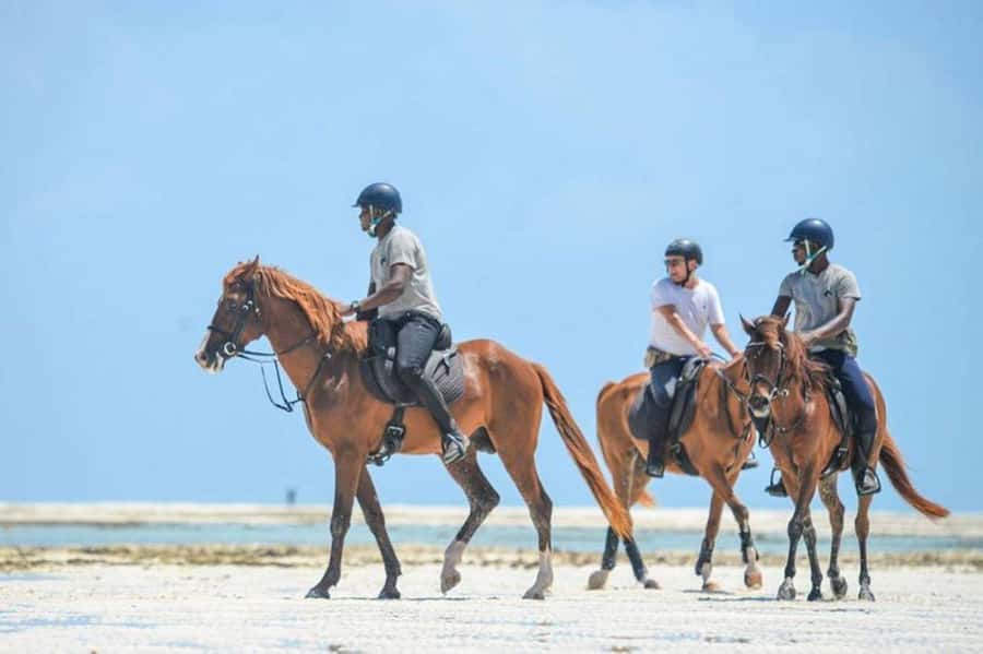 Zanzibar Horseback Riding - Riding across Zanzibar’s white sand