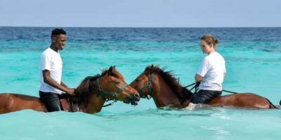 Zanzibar Horseback Riding