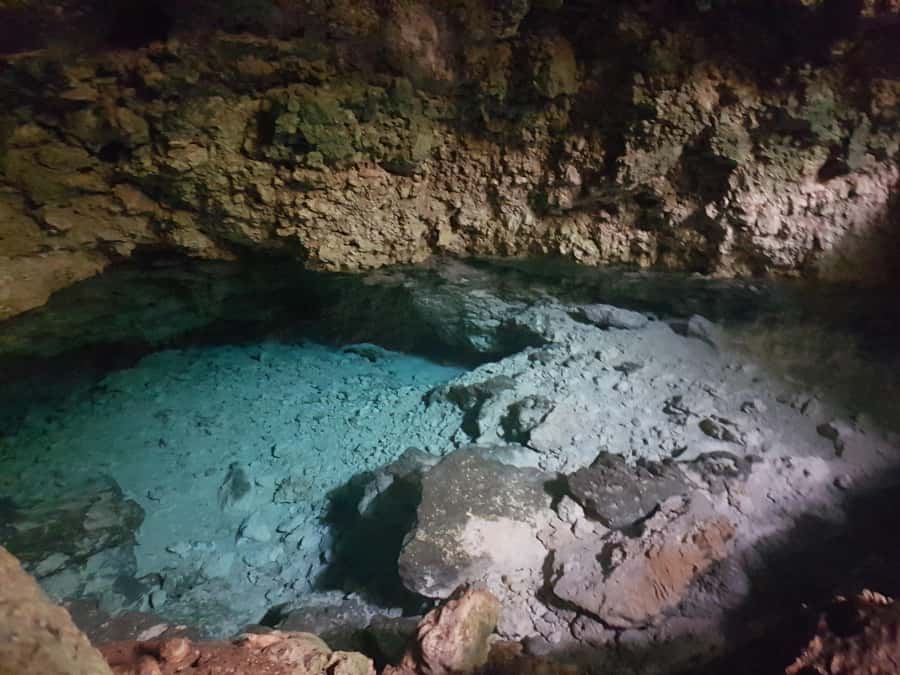 Zanzibar: Horseback Riding and Turtle Aquarium Visit - Is $150 per person good value?