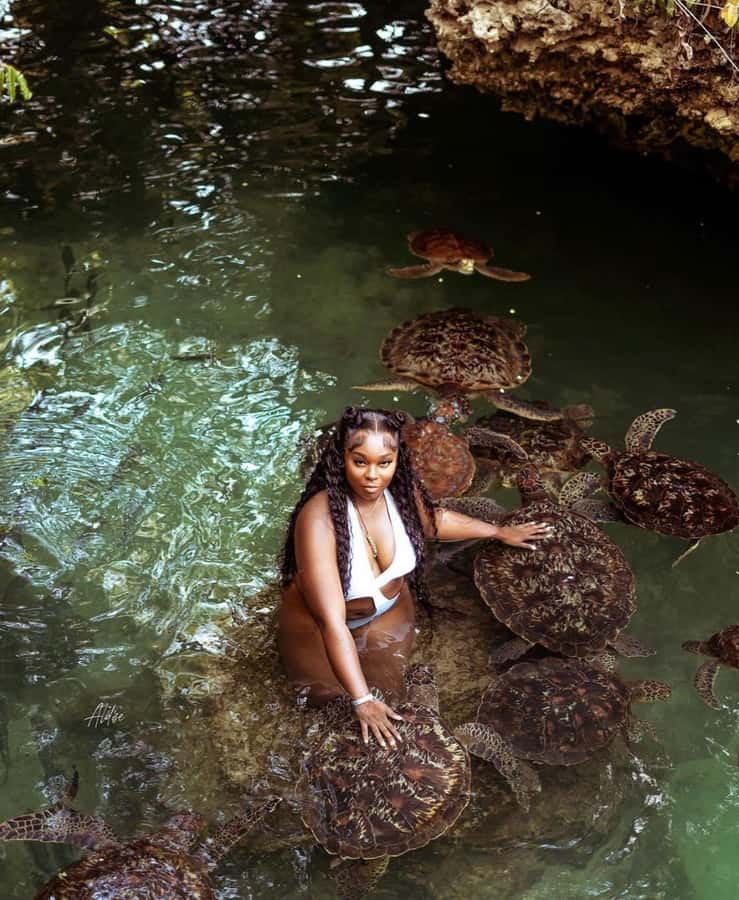 Zanzibar: Horseback Riding and Turtle Swimming Tour - Riding beside the Indian Ocean