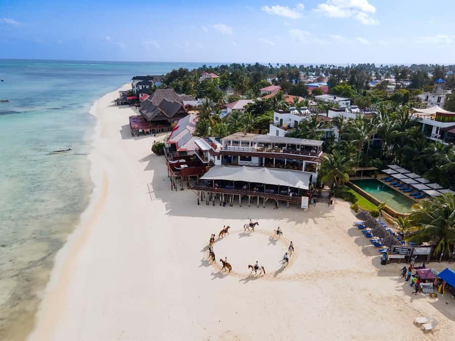 Zanzibar: Horseback Riding and Turtle Swimming Tour - What the 30-minute horse session is really worth