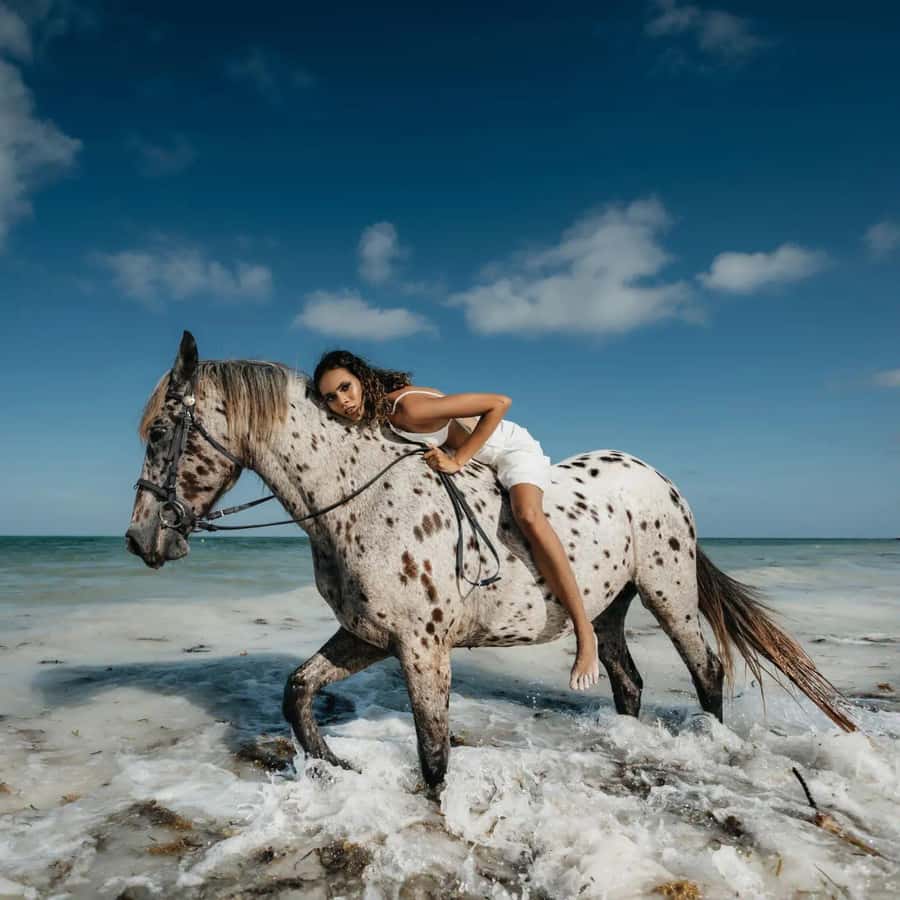 Zanzibar: Horseback Riding and Turtle Swimming Tour - Inside the Baraka Natural Turtle Aquarium