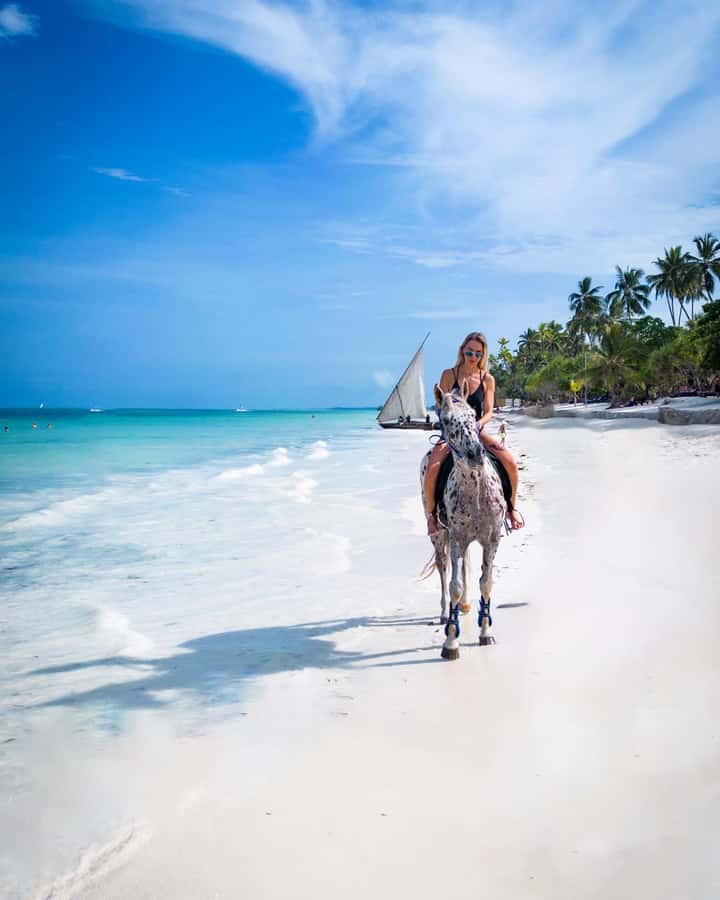 Zanzibar: Horseback Riding and Turtle Swimming Tour - Guides, languages, and the private-group setup