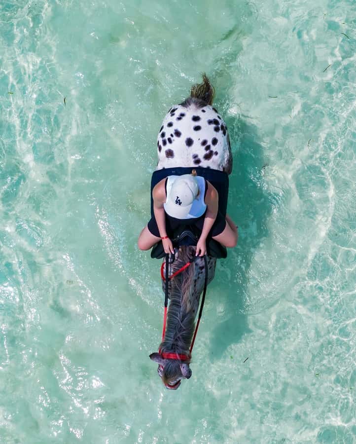 Zanzibar: Horseback Riding and Turtle Swimming Tour - What the $195 price includes