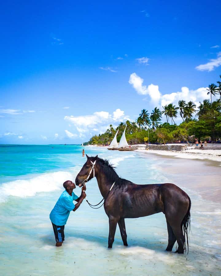 Zanzibar: Horseback Riding and Turtle Swimming Tour - The drive to Nungwi or Pwani Mchangani