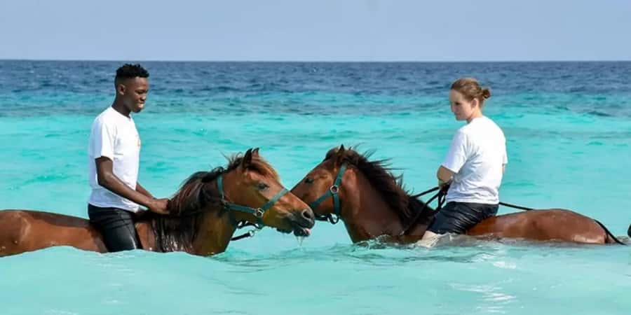 Zanzibar Horseback Riding - Meeting your horse and learning the basics