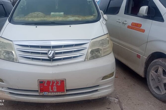 Zanzibar Island Private Taxi Airport and Hotel Transfer - Why a private airport ride helps in Zanzibar