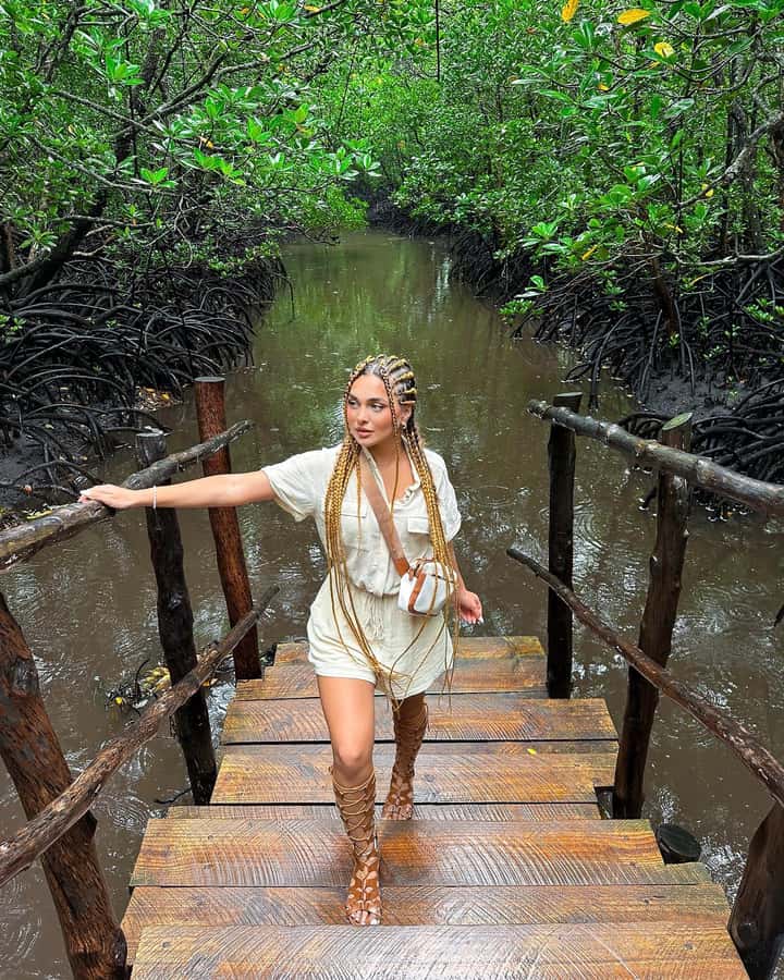 ZANZIBAR; JOZANI FOREST - Mahogany trees and the forest’s natural pharmacy
