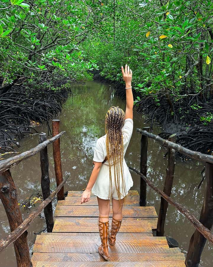 ZANZIBAR; JOZANI FOREST - Guide languages and private-group comfort