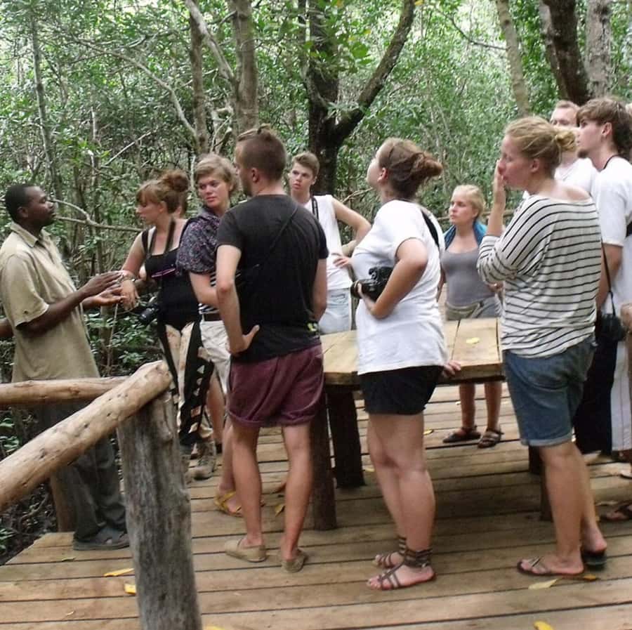 Zanzibar: Jozani Forest and Swim with Sea Turtles. - Should you book Jozani Forest and Salaam Cave?