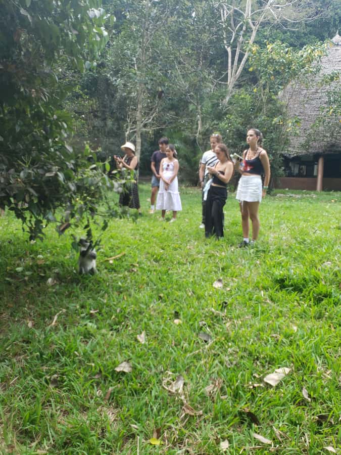 Zanzibar: Jozani forest, Butterfly center & Salaam cave tour - A full day built around three kinds of wildlife