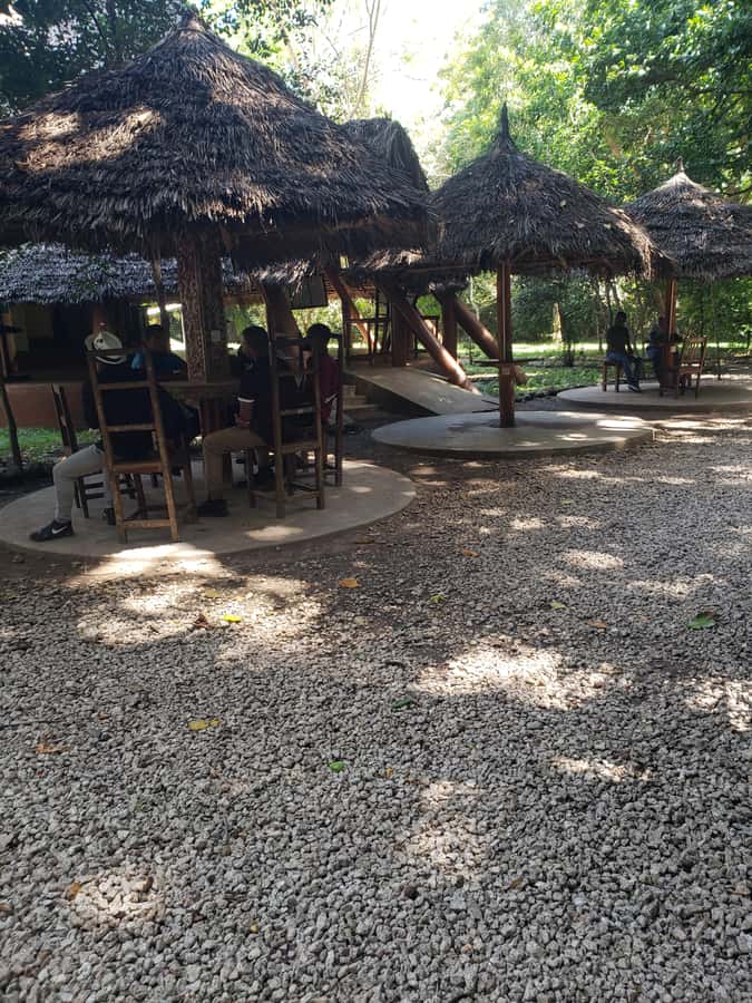 Zanzibar: Jozani forest, Butterfly center & Salaam cave tour - Is the $86 price fair?