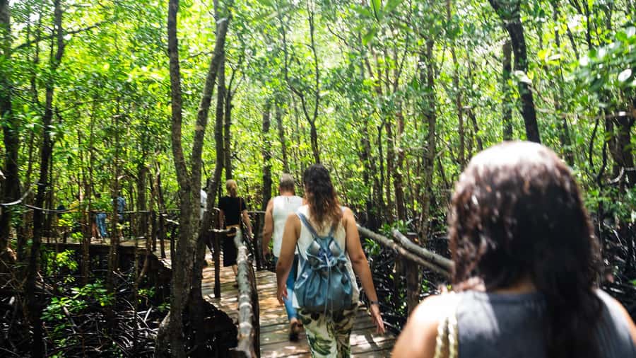 Zanzibar: Jozani Forest Guided Tour,Red Colobus and transfer - What the tour does not include