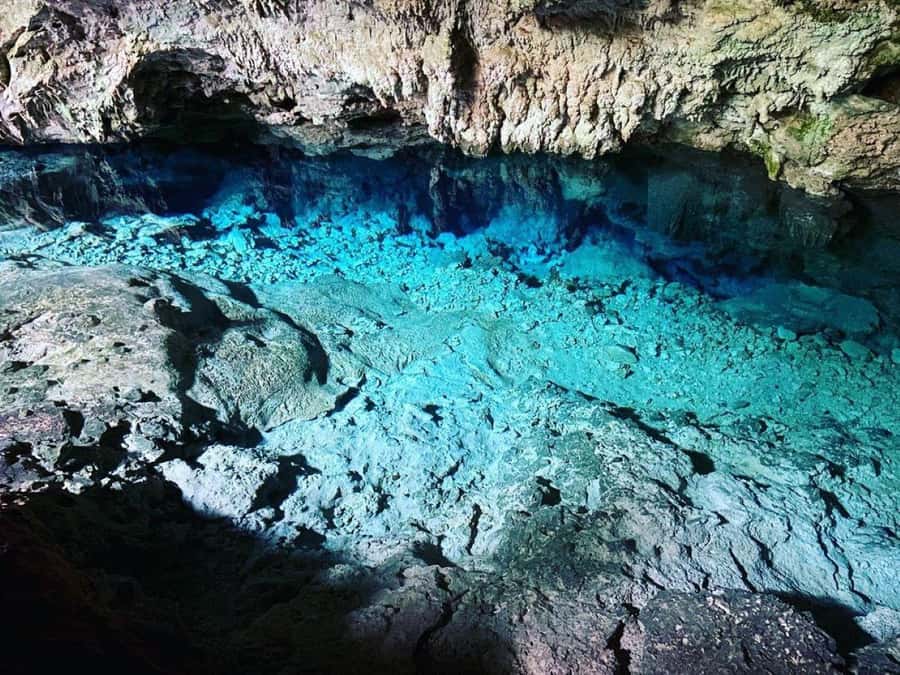 Zanzibar: Jozani Forest, Kuza Cave and Stand Up Paddle Tour - Guides, drivers, and the pace of the day
