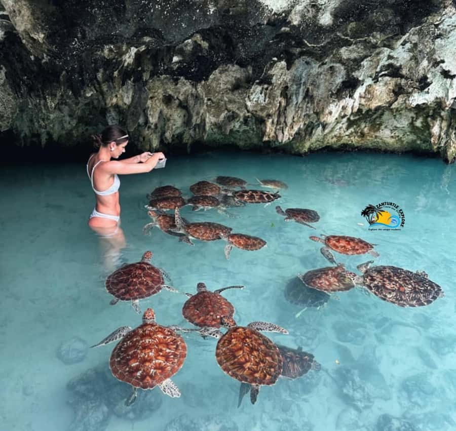 Zanzibar: Jozani Forest, Kuza Cave & Salaam Cave Aquarium - Kuza Cave for a freshwater swim
