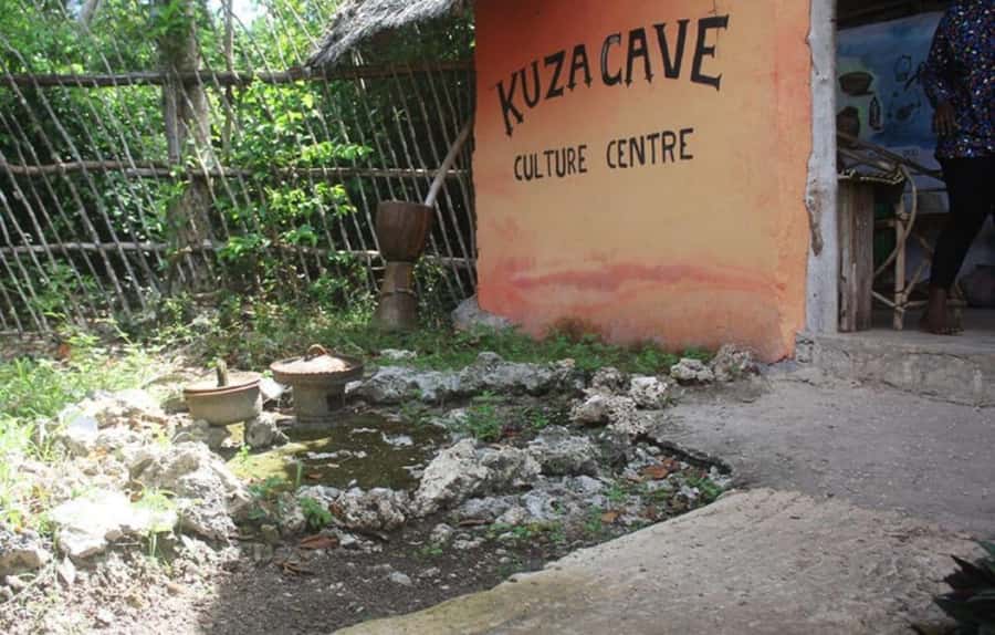 Zanzibar: Jozani forest + Kuza cave visit & Paje beach tour - Jozani Forest and Zanzibar’s red colobus monkeys
