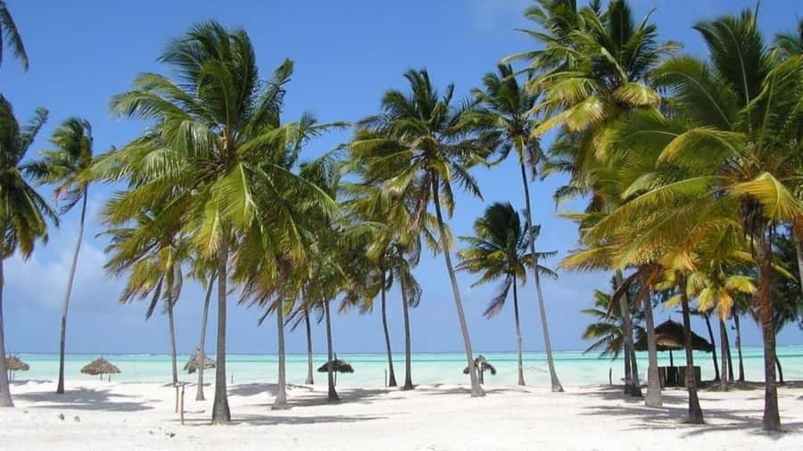 Zanzibar: Jozani forest + Kuza cave visit & Paje beach tour - Kuza Cave’s clear underground pool