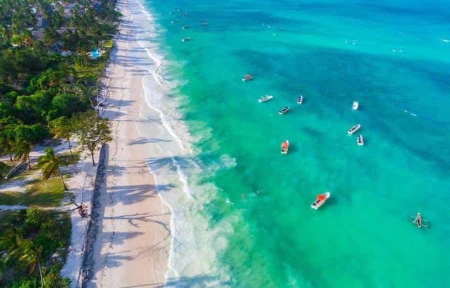 Zanzibar: Jozani forest + Kuza cave visit & Paje beach tour - Is $127 per person a fair price?
