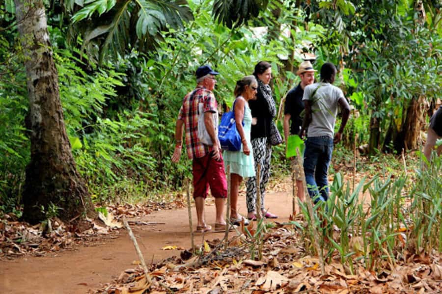 Zanzibar: Jozani forest + Kuza cave visit & Paje beach tour - The morning ride from your hotel