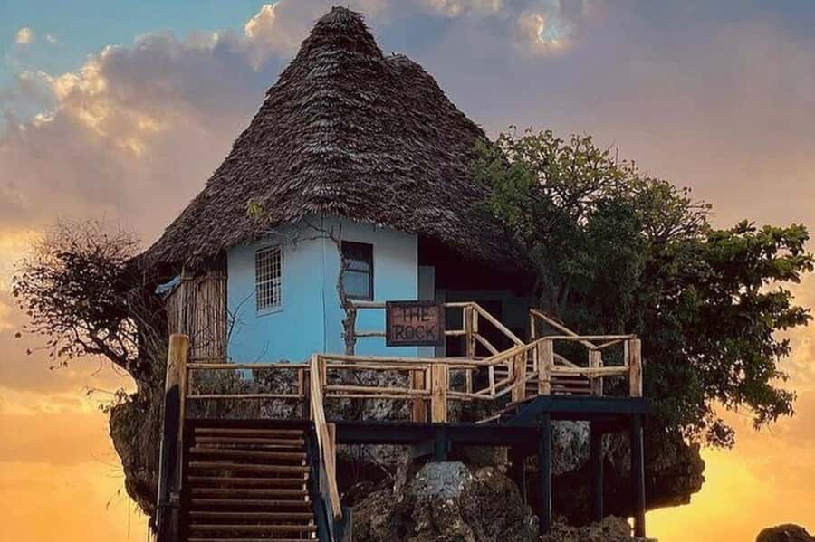 ZANZIBAR: Jozani Forest Monkey Tour and The Rock Restaurant - A useful pairing: forest wildlife and a famous sea view