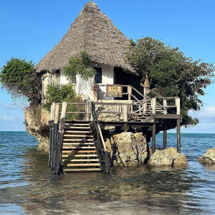 ZANZIBAR: Jozani Forest Monkey Tour and The Rock Restaurant - Meeting Zanzibar’s Red Colobus monkeys