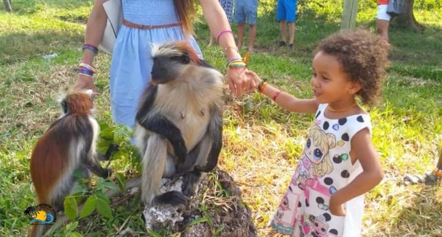 Zanzibar: Jozani Forest National Park Guided Tour - Who will enjoy this Jozani tour most?