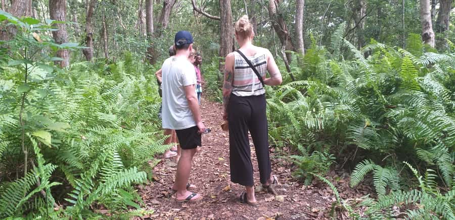 Zanzibar: Jozani Forest & Red Colobus Monkeys Private Tour - Entering Jozani Chwaka Bay National Park