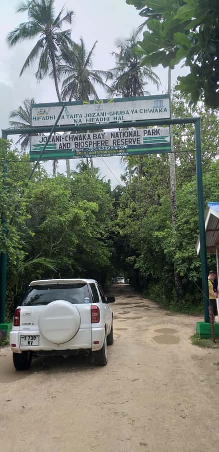 Zanzibar: Jozani Forest & Red Colobus Monkeys Private Tour - Who should book this forest trip