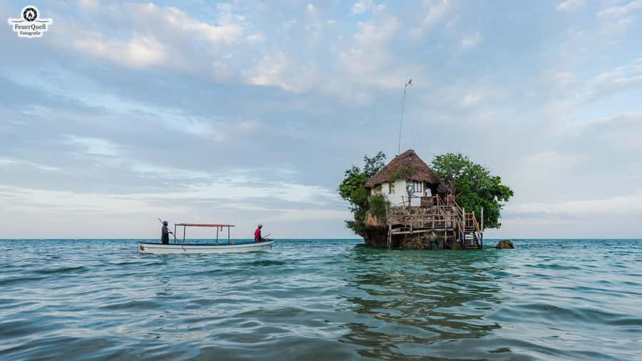 Zanzibar: Jozani Forest,Red colobus,the Rock Restaurant tour - Meeting Your Driver in Zanzibar