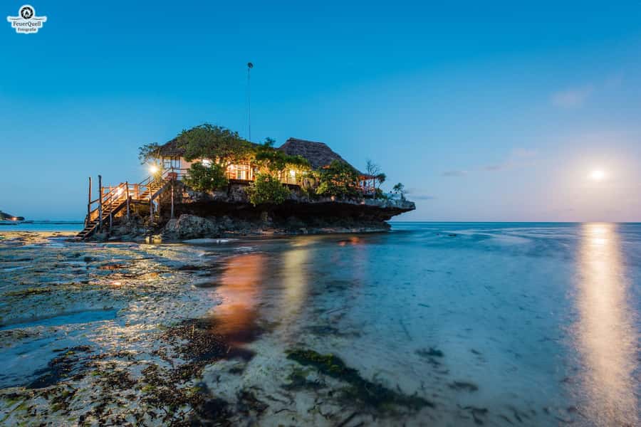 Zanzibar: Jozani Forest,Red colobus,the Rock Restaurant tour - Red Colobus Watching Without Safari Expectations