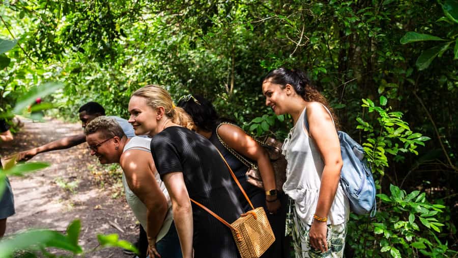 Zanzibar: Jozani Forest,Red colobus,the Rock Restaurant tour - The Mangroves Add a Second Nature Lesson