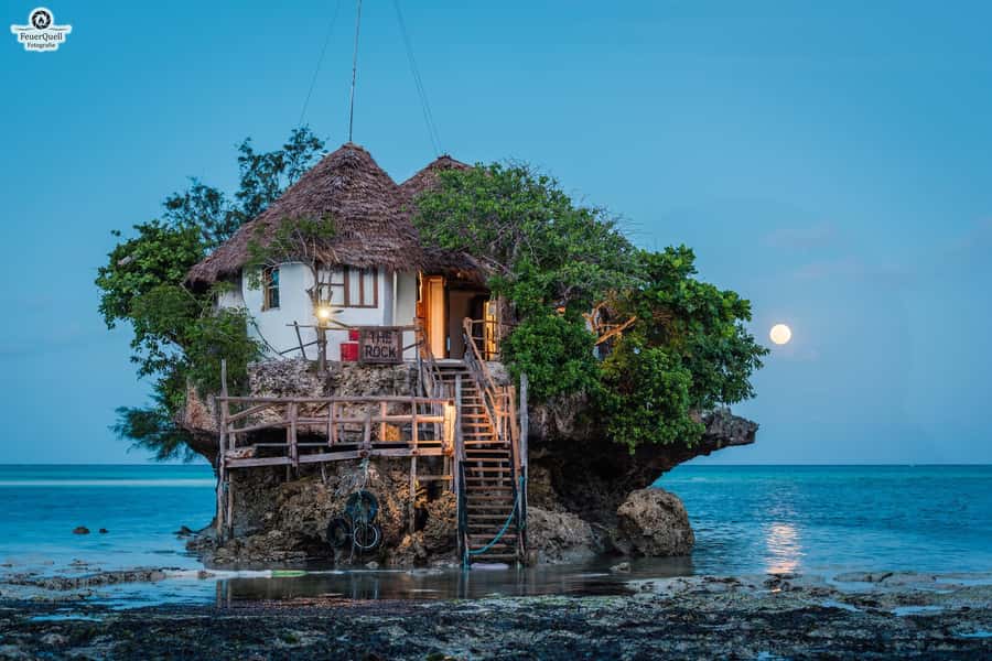 Zanzibar: Jozani Forest,Red colobus,the Rock Restaurant tour - What the Four-and-a-Half-Star Rating Tells You
