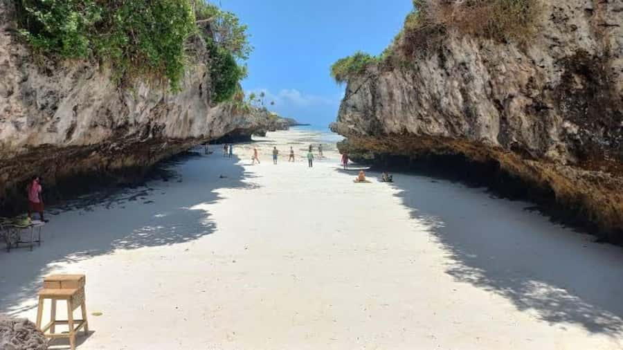 Zanzibar: Jozani Forest, Salaam Cave & Mtende Beach tours - Jozani Forest and the red colobus monkeys
