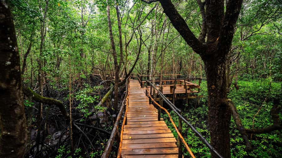 Zanzibar: Jozani Forest, Salaam Cave & Mtende Beach tours - Mtende Beach between two rock formations