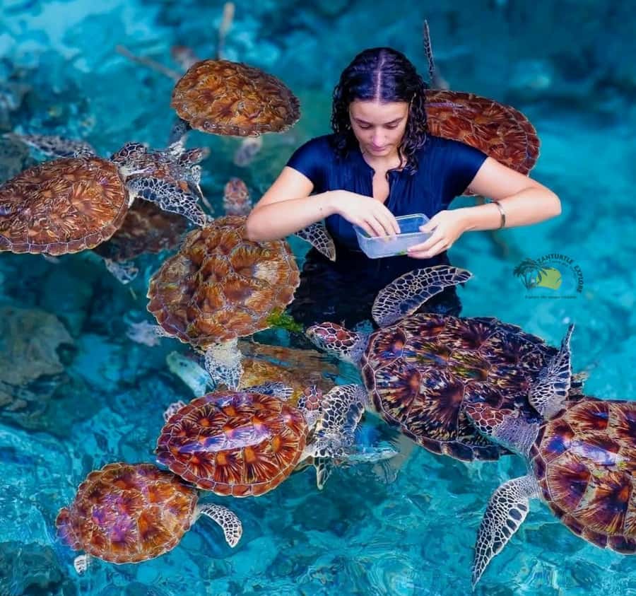 Zanzibar: Jozani Forest & Salaam Cave Sea Turtles Swim Tour - Why this combination works so well