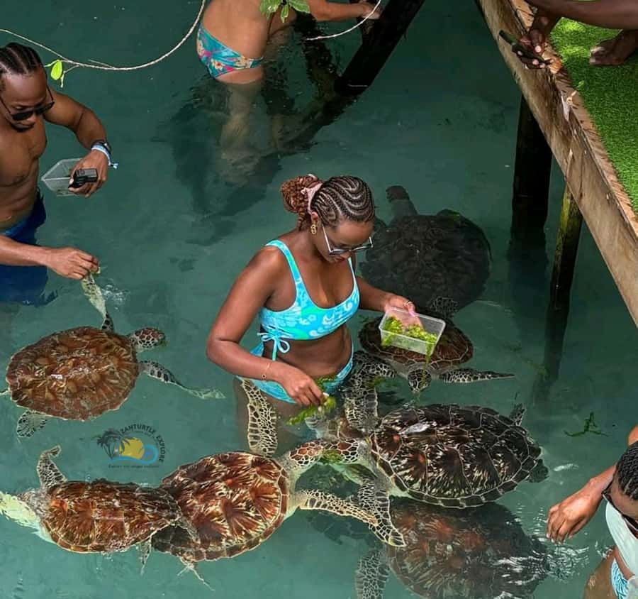 Zanzibar: Jozani Forest & Salaam Cave Sea Turtles Swim Tour - Entering Salaam Cave