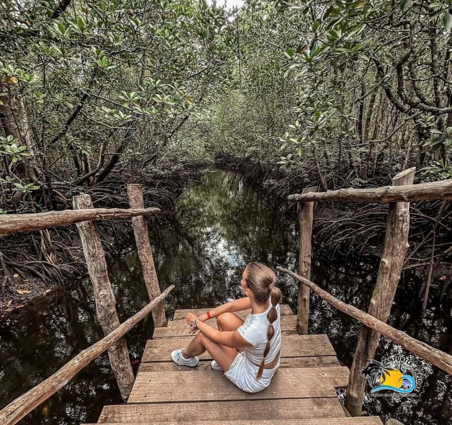 Zanzibar: Jozani Forest & Salaam Cave Sea Turtles Swim Tour - Guide quality and language concerns