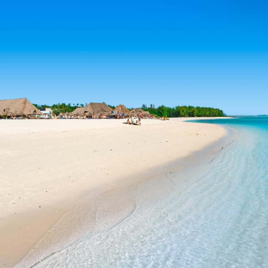 ZANZIBAR: Jozani Forest,Salaam Cave, The Rock & Blue Lagoon - Jozani Forest and Zanzibar’s red colobus monkeys